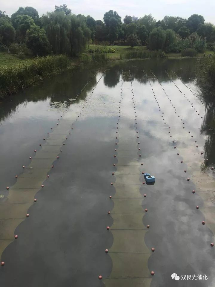 江陰市委書記走進雙良新型光催化——江陰三季度重點產(chǎn)業(yè)項目現(xiàn)場觀摩活動