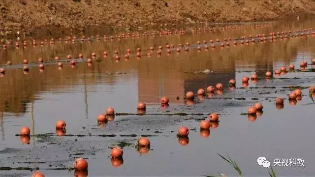 央視聚焦<a href=http://www.fair3xin.com target=_blank class=infotextkey>雙良</a><a href=http://www.fair3xin.com target=_blank class=infotextkey>新型光催化</a>“走進科學”