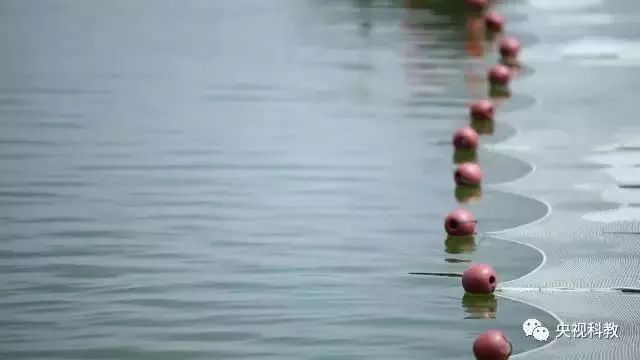 央視聚焦<a href=http://www.fair3xin.com target=_blank class=infotextkey>雙良</a><a href=http://www.fair3xin.com target=_blank class=infotextkey>新型光催化</a>“走進科學”