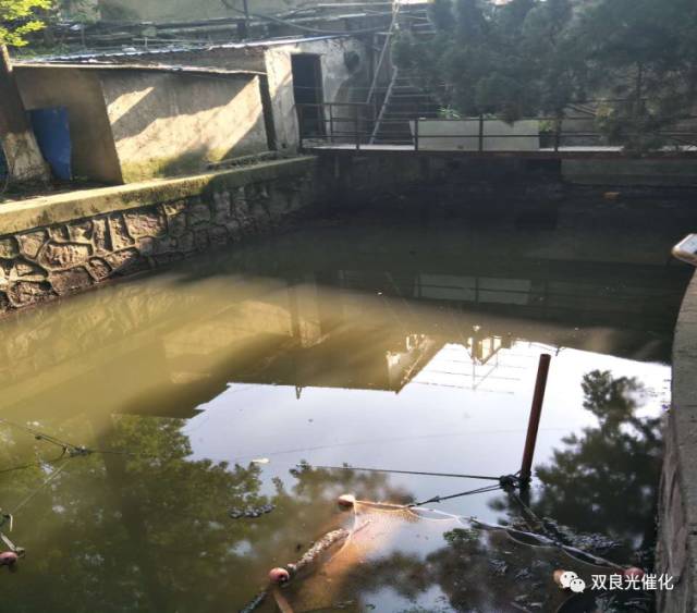 崇川區(qū)召開市區(qū)<a href=http://www.fair3xin.com target=_blank class=infotextkey>水環(huán)境治理</a>生物治理成果匯報會