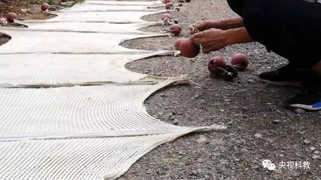 央視聚焦<a href=http://www.fair3xin.com target=_blank class=infotextkey>雙良</a><a href=http://www.fair3xin.com target=_blank class=infotextkey>新型光催化</a>“走進科學”