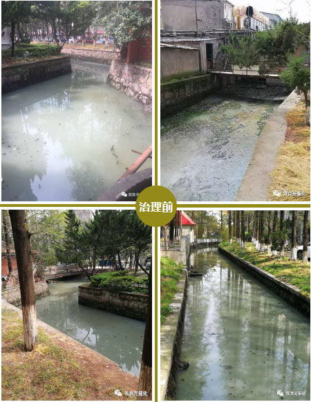 崇川區(qū)召開市區(qū)<a href=http://www.fair3xin.com target=_blank class=infotextkey>水環(huán)境治理</a>生物治理成果匯報會