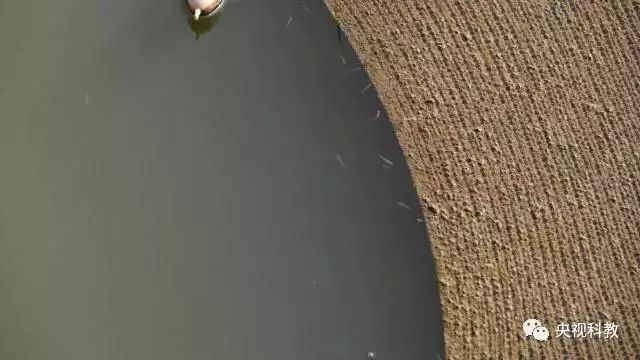 央視聚焦<a href=http://www.fair3xin.com target=_blank class=infotextkey>雙良</a><a href=http://www.fair3xin.com target=_blank class=infotextkey>新型光催化</a>“走進科學”