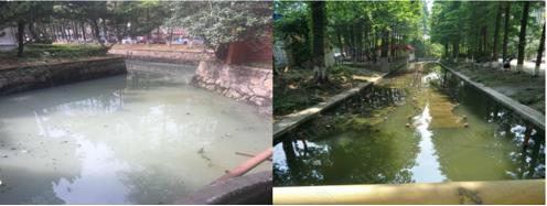 硬質岸坡河道消除黑臭-江蘇省南通市城南中心河