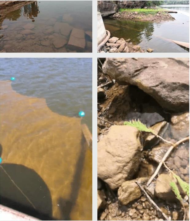 四川資陽市雁江區(qū)滴水巖水庫水體修復技術服務項目