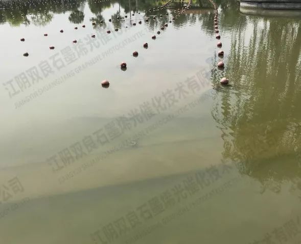 <a href=http://www.fair3xin.com target=_blank class=infotextkey>河道治理</a>