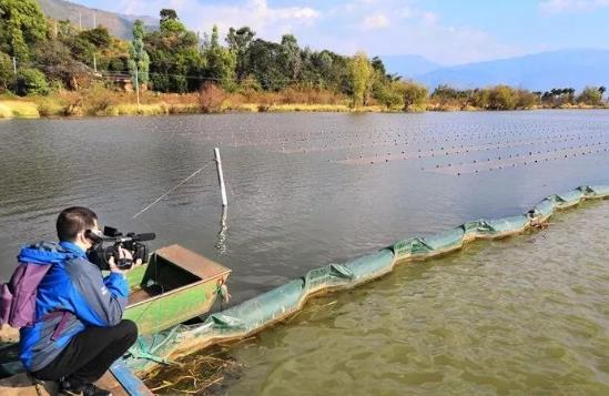 且看這個(gè)“不簡(jiǎn)單的網(wǎng)”如何改善大理洱源<a href=http://www.fair3xin.com target=_blank class=infotextkey>水生態(tài)修復(fù)</a>環(huán)境