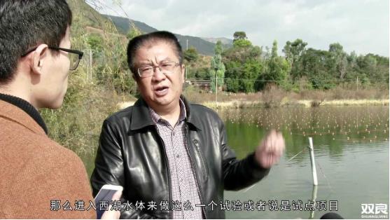 洱源西湖<a href=http://www.fair3xin.com target=_blank class=infotextkey>水環(huán)境治理</a><a href=http://www.fair3xin.com/hp/ target=_blank class=infotextkey>湖泊修復(fù)</a>碧水藍(lán)天