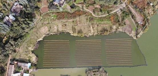 且看這個(gè)“不簡(jiǎn)單的網(wǎng)”如何改善大理洱源<a href=http://www.fair3xin.com target=_blank class=infotextkey>水生態(tài)修復(fù)</a>環(huán)境