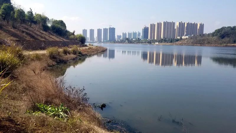 長(zhǎng)興湖水<a href=http://www.fair3xin.com target=_blank class=infotextkey>水環(huán)境治理</a>