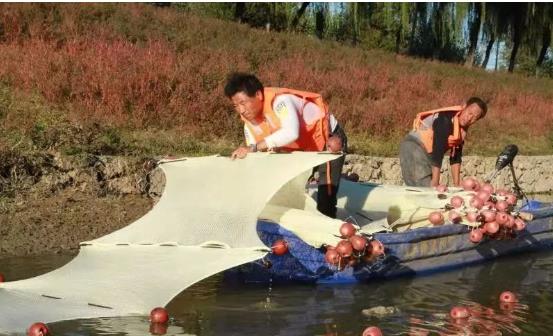 <a href=http://www.fair3xin.com target=_blank class=infotextkey>雙良</a>光催化為通州鳳港減河專門治水體