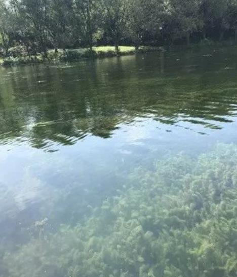 雙良發(fā)展和推廣水生態(tài)修復技術