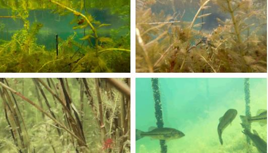 雙良新型光催化技術(shù)市場應(yīng)用推廣交流會在上海順利召開！