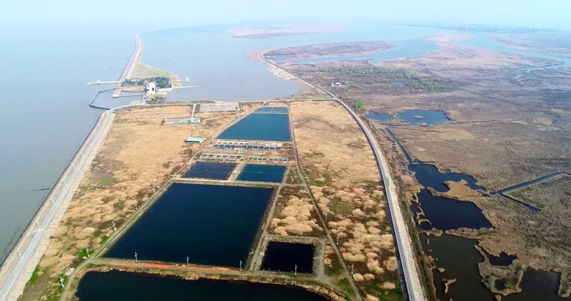 中國第一大城市飲用水<a href=http://www.fair3xin.com/yysyd/ target=_blank class=infotextkey>水源地治理</a>技術(shù)突破