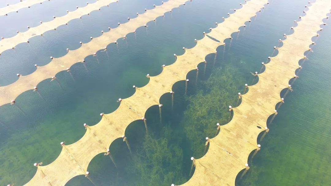 “光催化技術提升飲用水源地水質工程應用專家評審會”在上?？茖W會堂順利召開