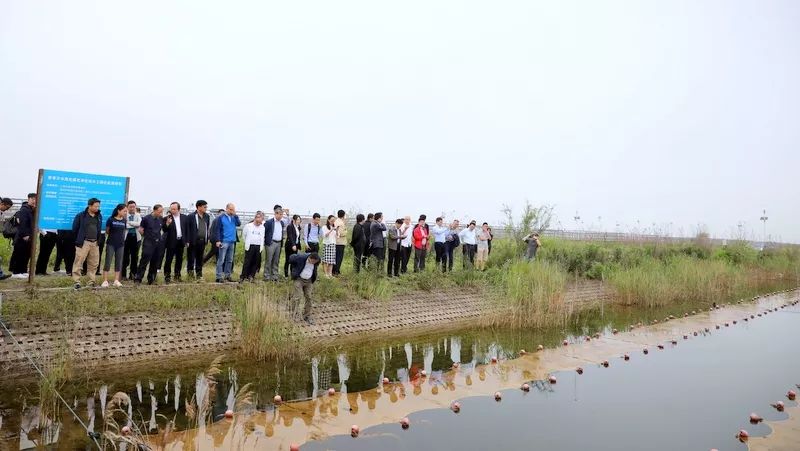 中國第一大城市飲用水<a href=http://www.fair3xin.com/yysyd/ target=_blank class=infotextkey>水源地治理</a>技術(shù)突破