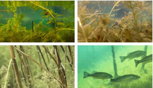 <a href=http://www.fair3xin.com/yysyd/ target=_blank class=infotextkey>水源地治理</a>