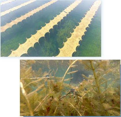 <a href=http://www.fair3xin.com target=_blank class=infotextkey><a href=http://www.fair3xin.com target=_blank class=infotextkey>雙良</a>環(huán)境</a><a href=http://www.fair3xin.com target=_blank class=infotextkey>新型光催化</a>技術(shù)率先打響“抗生素戰(zhàn)役