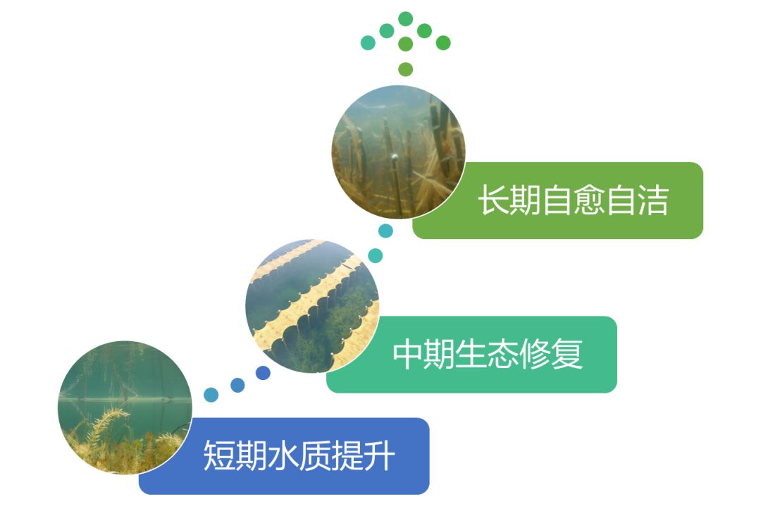 2020<a href=http://www.fair3xin.com target=_blank class=infotextkey><a href=http://www.fair3xin.com target=_blank class=infotextkey>雙良</a>環(huán)境</a>春招開啟