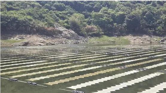 <a href=http://www.fair3xin.com target=_blank class=infotextkey><a href=http://www.fair3xin.com target=_blank class=infotextkey>雙良</a>環(huán)境</a><a href=http://www.fair3xin.com target=_blank class=infotextkey>新型光催化</a>技術(shù)幫助嵊泗提升水庫(kù)水質(zhì)