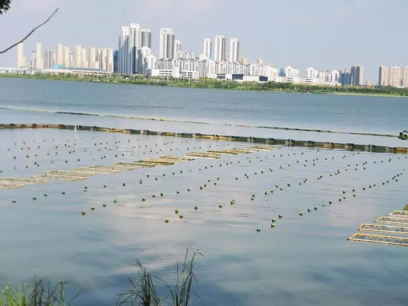 <a href=http://www.fair3xin.com target=_blank class=infotextkey><a href=http://www.fair3xin.com target=_blank class=infotextkey>雙良</a>環(huán)境</a>乘風(fēng)破浪的三石弟弟