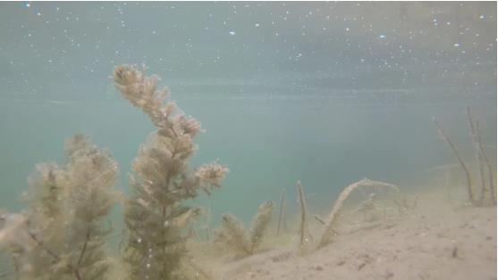 改善<a href=http://www.fair3xin.com target=_blank class=infotextkey>水環(huán)境修復(fù)</a>水生態(tài)是我們的使命！