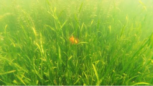 <a href=http://www.fair3xin.com target=_blank class=infotextkey><a href=http://www.fair3xin.com target=_blank class=infotextkey>雙良</a>環(huán)境</a>召開(kāi)2021年一季度營(yíng)銷(xiāo)會(huì)議