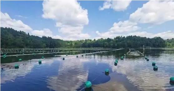 【環(huán)境保護】為百姓守護一泓清水雁江區(qū)鄉(xiāng)鎮(zhèn)集中式飲用水水源地穩(wěn)定達(dá)標(biāo)