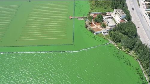 云南大學張虎才研究團隊發(fā)表石墨烯光催化技術對高污染富營養(yǎng)化湖泊水質提升實驗研究成果