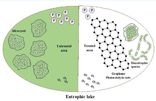 云南大學(xué)張虎才研究團(tuán)隊(duì)發(fā)表石墨烯光催化技術(shù)對(duì)高污染富營(yíng)養(yǎng)化湖泊水質(zhì)提升實(shí)驗(yàn)研究成果