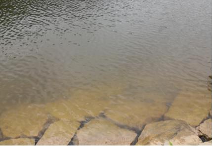 河湖內(nèi)源污染控制技術(shù)研究現(xiàn)狀及疏浚效果差異淺析