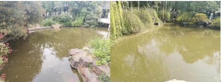 水生態(tài)修復和重建應注意以下幾點