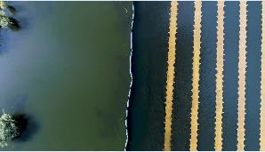 新聞轉(zhuǎn)載｜調(diào)研河道治理：讓新區(qū)的水更清、環(huán)境更優(yōu)