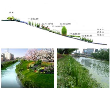 大面積黑臭水體（水塘、水渠、水庫等）特別是養(yǎng)殖廢水，如何在短時(shí)間快速進(jìn)行治理？達(dá)標(biāo)農(nóng)灌水或排放標(biāo)準(zhǔn)？