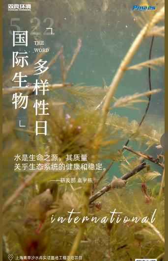 5.22生物多樣性日｜共護(hù)碧水清波，共建和諧生態(tài)！